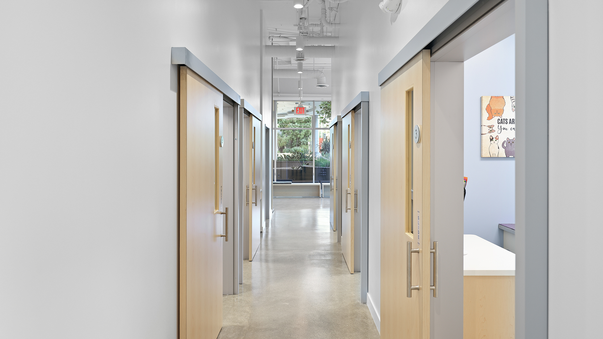 Curo Pet Care Woodland Hills High Res 6200 Variel Avenue