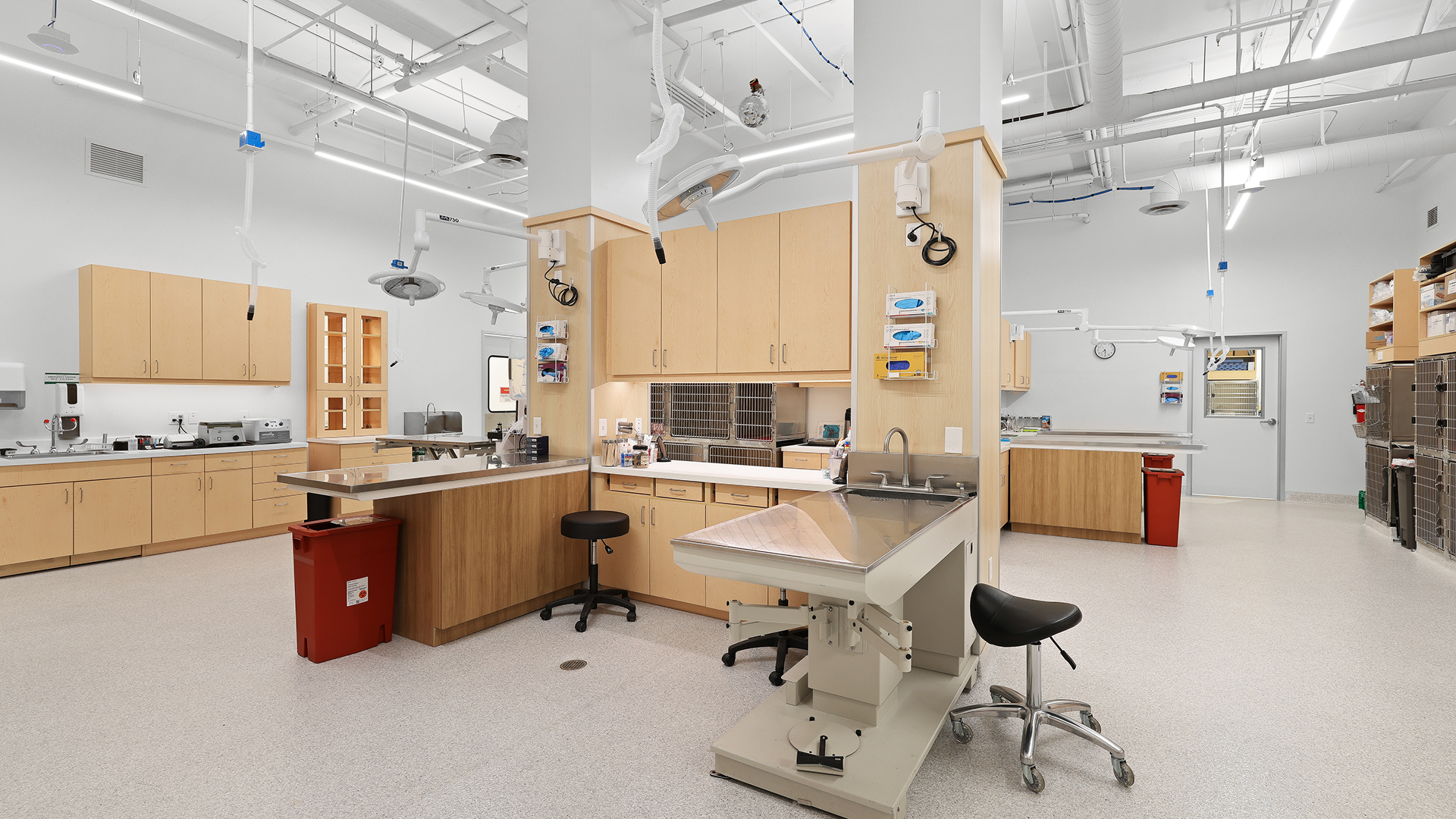 Curo Pet Care Woodland Hills High Res 6200 Variel Avenue