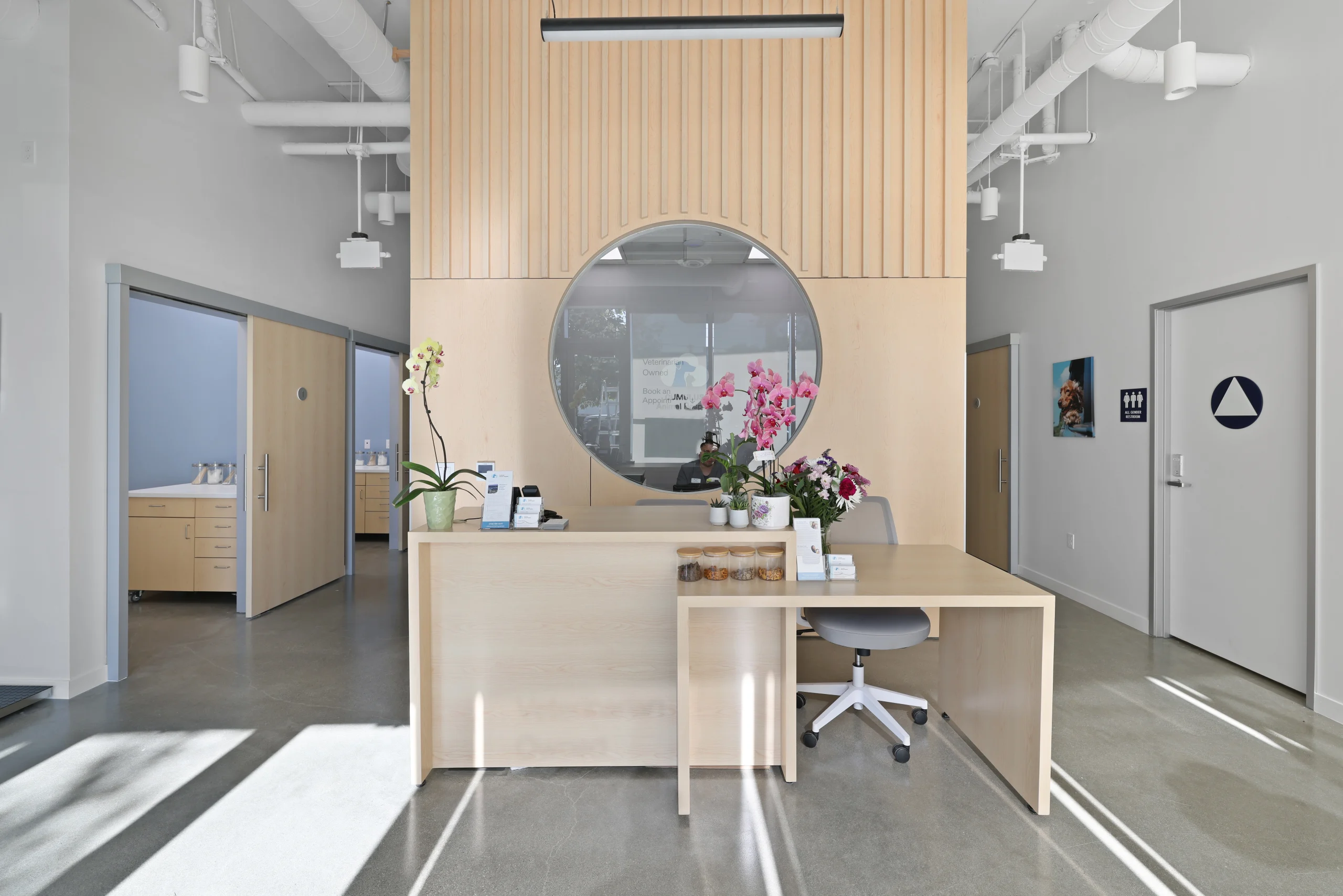 Cumulus Animal Hospital – Culver City Scaled