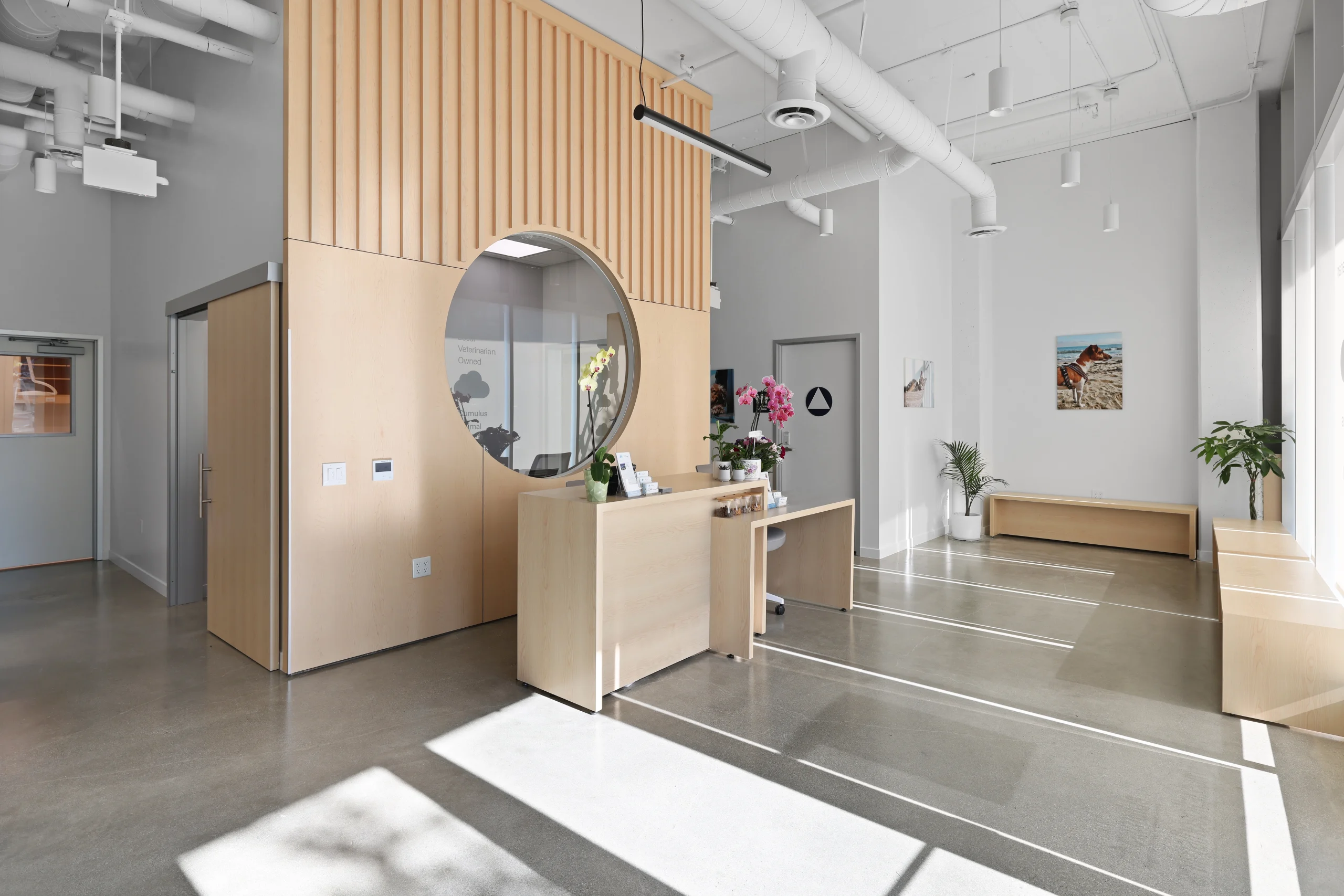 Cumulus Animal Hospital – Culver City Scaled