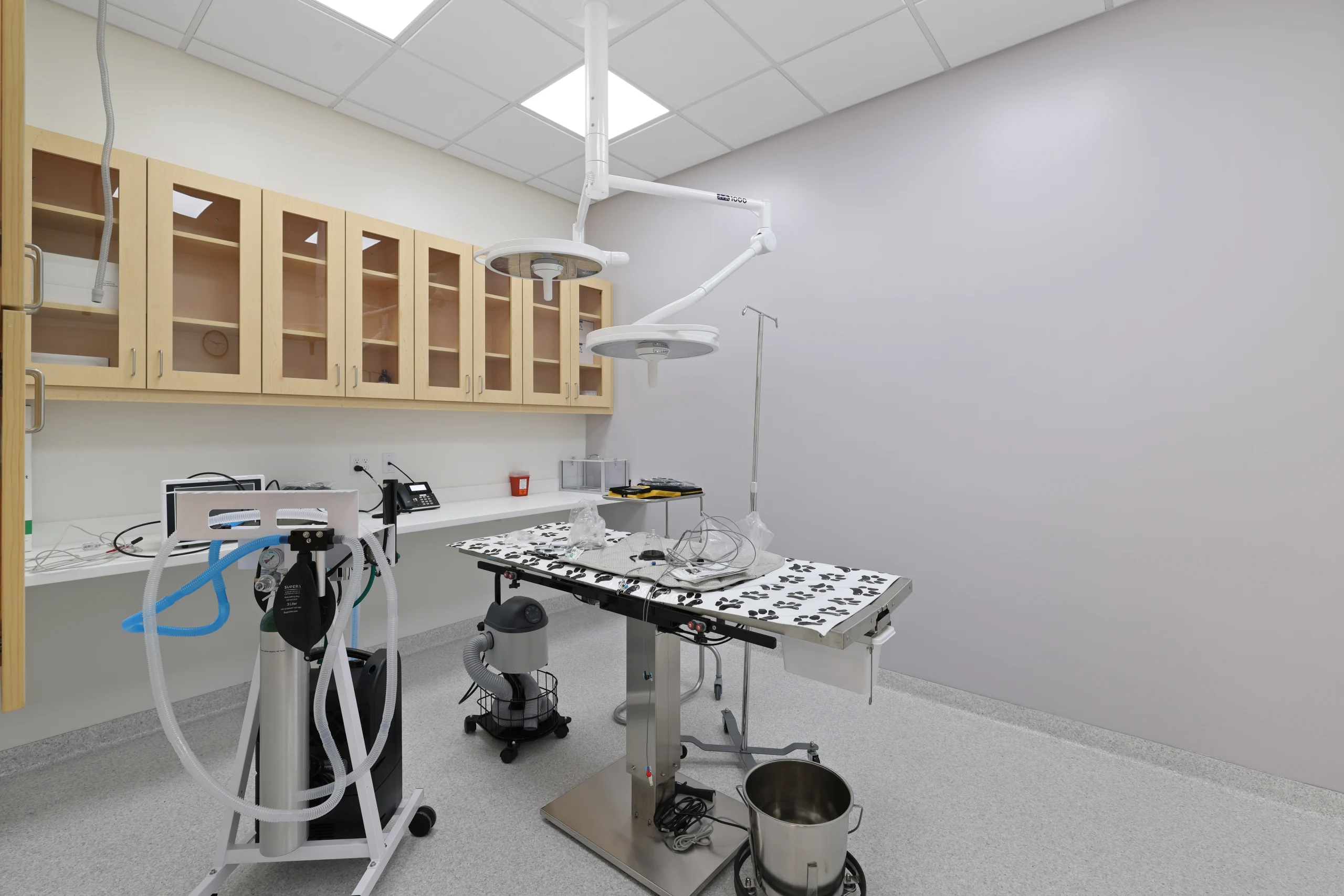 Cumulus Animal Hospital – Culver City Scaled