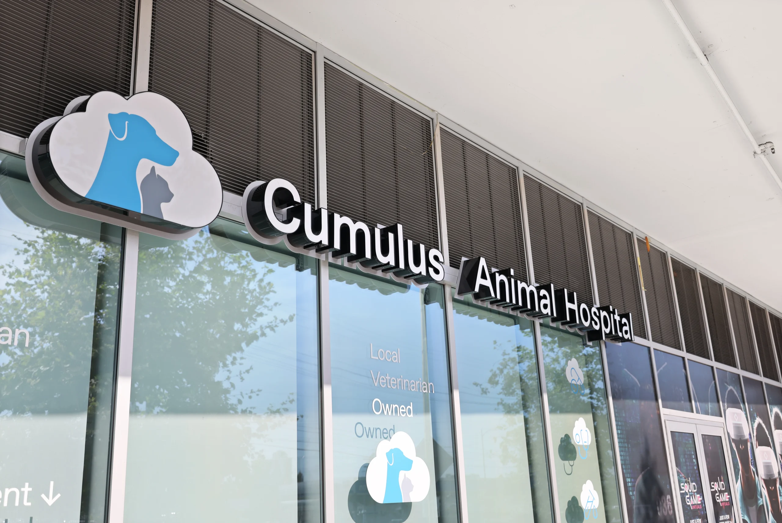 Cumulus Animal Hospital – Culver City Scaled